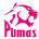Pumas